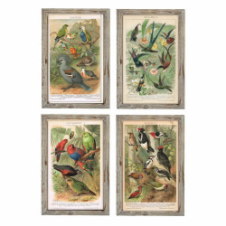 Painting DKD Home Decor Birds (45 x 2 x 65 cm) (4 Units)