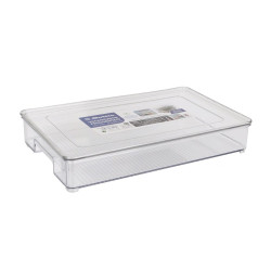 Organizador Multiusos Quttin Con Tapa (32,5 x 20 x 5,5 cm)