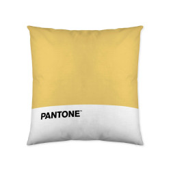 Cushion cover Pantone...