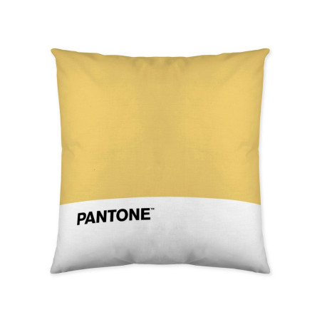 Cushion cover Pantone Talisman (50 x 50 cm)