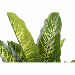 Dekorationspflanze DKD Home Decor grün PVC (75 x 72 x 120 cm)