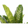 Plante décorative DKD Home Decor Vert PVC (75 x 72 x 120 cm)