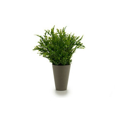 Pot ‎S3602946 Vert Plastique (13 x 25 x 13 cm)