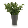 Plant pot ‎S3602946 Green Plastic (13 x 25 x 13 cm)