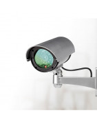 Surveillance video cameras